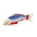 Mojö 381100 - Koi Carp Asagi (blue-red)