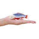 Mojö 381100 - Koi Carp Asagi (blue-red)