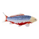 Mojö 381100 - Koi Carp Asagi (blue-red)