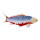 Mojö 381100 - Koi Carp Asagi (blue-red)