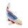 Mojö 381100 - Koi Carp Asagi (blue-red)