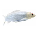 Mojö 381101 - Koi Carp Tancho (Red Dot)