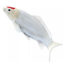 Mojö 381101 - Koi Carp Tancho (Red Dot)