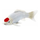 Mojö 381101 - Koi Carp Tancho (Red Dot)