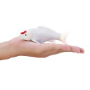 Mojö 381101 - Koi Carp Tancho (Red Dot)