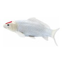 Mojö 381101 - Koi Carp Tancho (Red Dot)