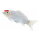 Mojö 381101 - Koi Carp Tancho (Red Dot)