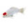 Mojö 381101 - Koi Carp Tancho (Red Dot)