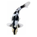Mojö 381102 - Koi Carp Shiro Utsuri (Black and White)