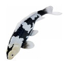 Mojö 381102 - Koi Carp Shiro Utsuri (Black and White)