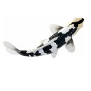 Mojö 381102 - Koi Carp Shiro Utsuri (Black and White)