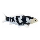 Mojö 381102 - Koi Carp Shiro Utsuri (Black and White)