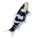 Mojö 381102 - Koi Carp Shiro Utsuri (Black and White)