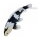 Mojö 381102 - Koi Carp Shiro Utsuri (Black and White)