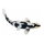 Mojö 381102 - Koi Carp Shiro Utsuri (Black and White)