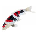 Mojö 381103 - Koi Karpfen Showa Sanshoku (dreifarbig)