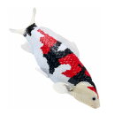 Mojö 381103 - Koi Karpfen Showa Sanshoku (dreifarbig)