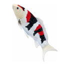 Mojö 381103 - Koi Karpfen Showa Sanshoku (dreifarbig)