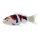 Mojö 381103 - Koi Karpfen Showa Sanshoku (dreifarbig)