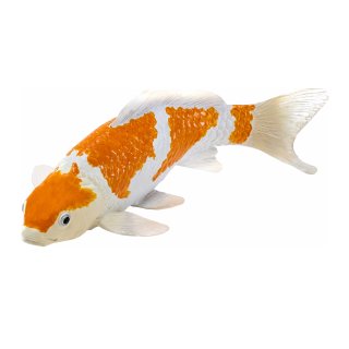 Mojö 381104 - Koi Karpfen Ochiba Shigure (orange / weiß)