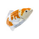 Mojö 381104 - Koi Karpfen Ochiba Shigure (orange / weiß)
