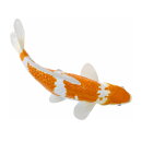 Mojö 381104 - Koi Karpfen Ochiba Shigure (orange / weiß)