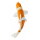 Mojö 381104 - Koi Karpfen Ochiba Shigure (orange / weiß)