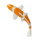 Mojö 381104 - Koi Karpfen Ochiba Shigure (orange / weiß)