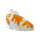 Mojö 381104 - Koi Karpfen Ochiba Shigure (orange / weiß)