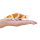Mojö 381104 - Koi Karpfen Ochiba Shigure (orange / weiß)