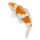 Mojö 381104 - Koi Karpfen Ochiba Shigure (orange / weiß)