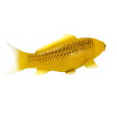 Mojö 381105 - Koi Karpfen Kin Matsuba (goldfarben)