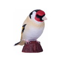 Mojö 381110 - European Goldfinch