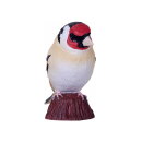 Mojö 381110 - European Goldfinch