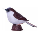 Mojö 381114 - House Sparrow