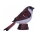 Mojö 381114 - House Sparrow