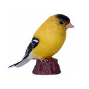 Mojö 381111 - American Goldfinch