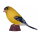 Mojö 381111 - American Goldfinch