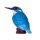 Mojö 381116 - Kingfisher