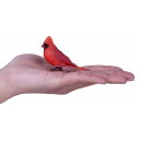 Mojö 381117 - Red Cardinal