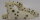 Resin Dalmatians - (Pic shows the actual horse)