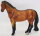 CollectA Body - (Pic shows the actual horse)