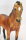 CollectA Body - (Pic shows the actual horse)