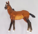 Resin Body Fohlen (Pic shows the actual horse)*