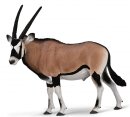 CollectA 80056 - Oryx