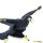Safari Ltd. 304129 - Microraptor