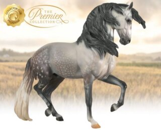 Breyer Traditional (1:9) 90206HD - Anamar | 2022 Premier Club