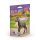 Schleich 81460 - Sammelfohlen Serie 1 - Darcy