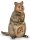 CollectA 80063 - Quokka with Joey (pre order)*1