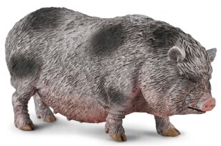 CollectA 80067 - Pot-bellied Pig (pre order)*1